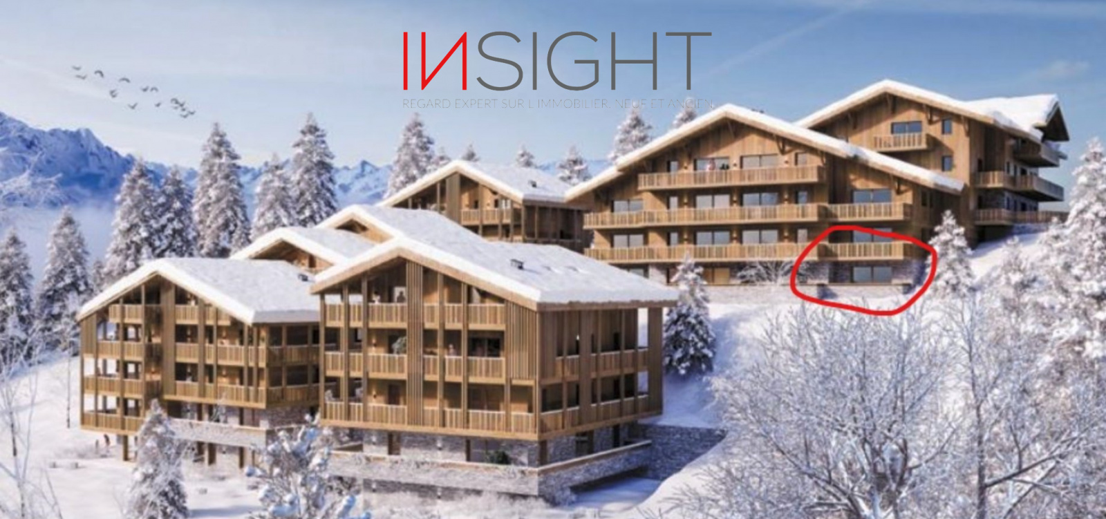 Image_, Appartement, Châtel, ref :10INSIGHT